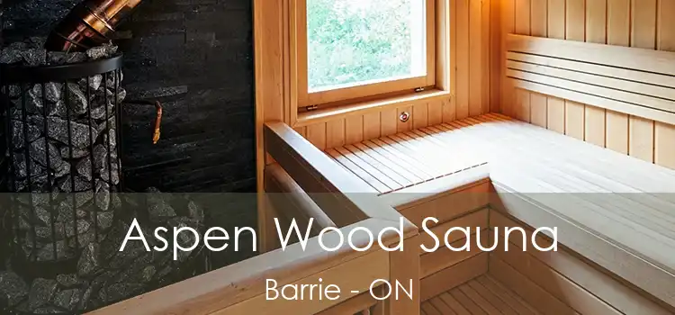  Aspen Wood Sauna Barrie - ON