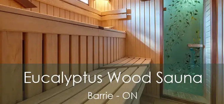  Eucalyptus Wood Sauna Barrie - ON
