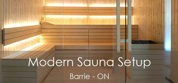  Modern Sauna Setup Barrie - ON