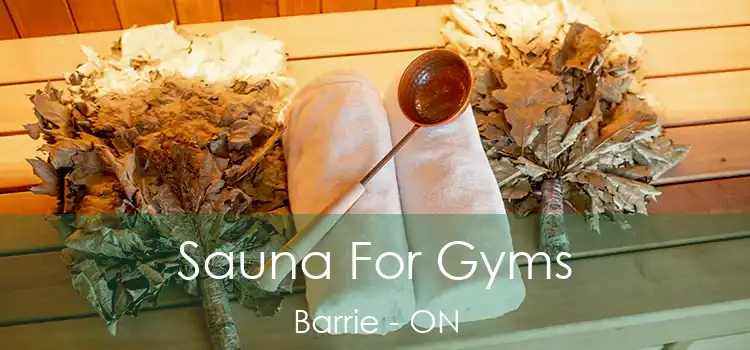  Sauna For Gyms Barrie - ON