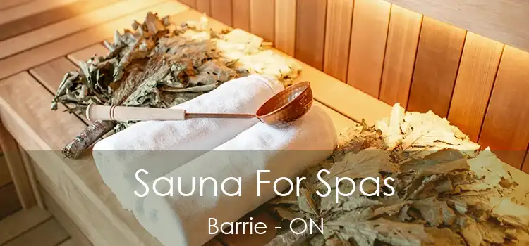  Sauna For Spas Barrie - ON