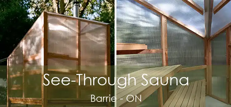  See-Through Sauna Barrie - ON